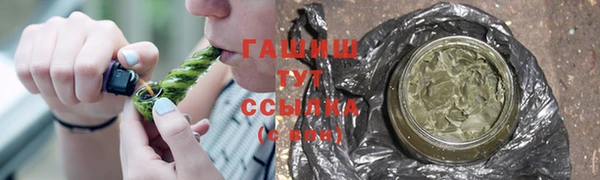 гидра Арсеньев