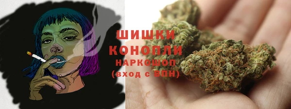 гидра Арсеньев