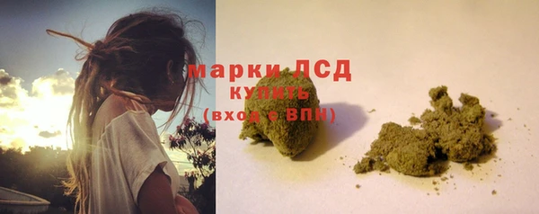 гидра Арсеньев