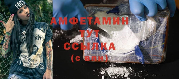 гидра Арсеньев