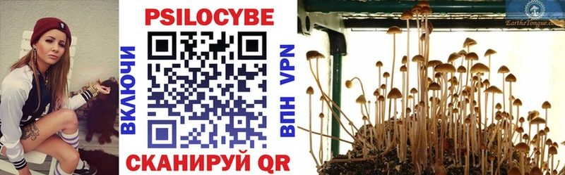 где купить наркоту  Армянск  маркетплейс официальный сайт  Галлюциногенные грибы прущие грибы 
